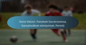 Read more about the article Dario Vidosic: Panokset Socceroosissa, Kansainväliset esiintymiset, Perintö
